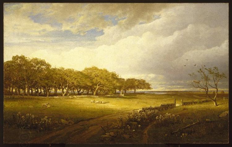 William Trost Richards Old Orchard at Newport China oil painting art